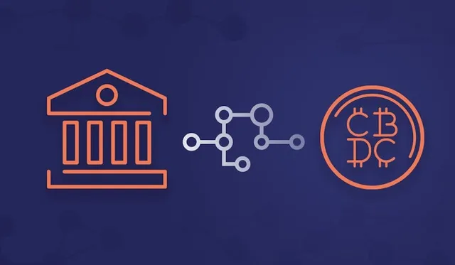 Central Bank Digital Currencies