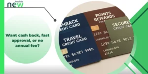 Want cash back, fast approval, or no annual fee?